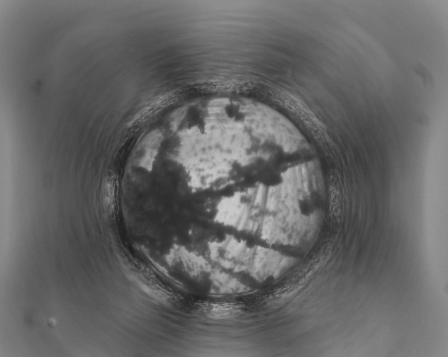 X0000112000165200908241441