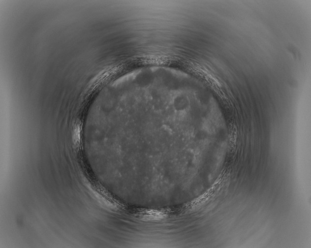 X0000112000166200908241441