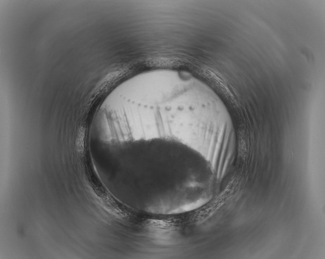 X0000112000167200908241441