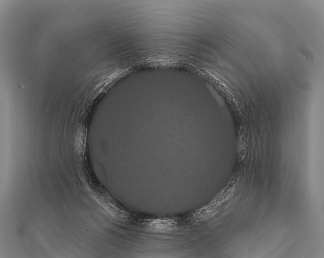 X0000112000168200908241441