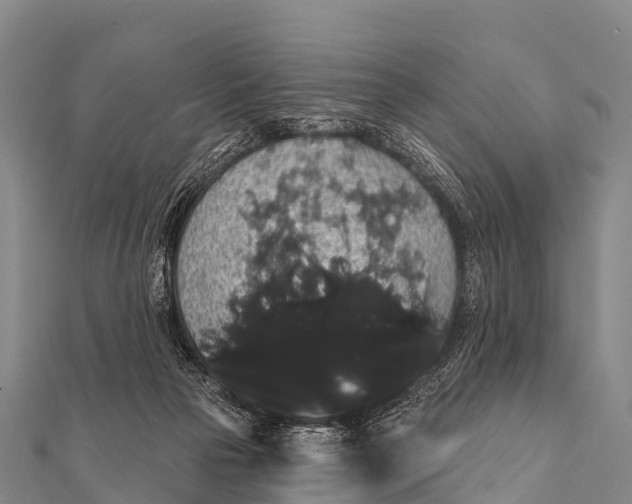 X0000112000169200908241441