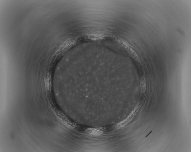 X0000112000170200908241441