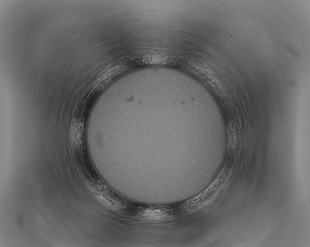 X0000112000171200908241441