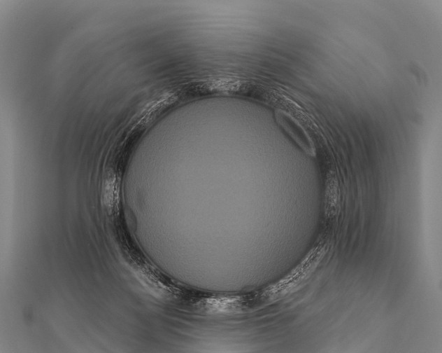 X0000112000172200908241441