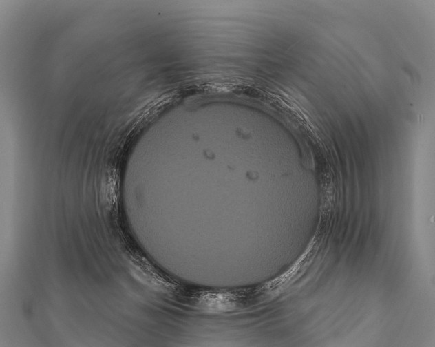 X0000112000174200908241441