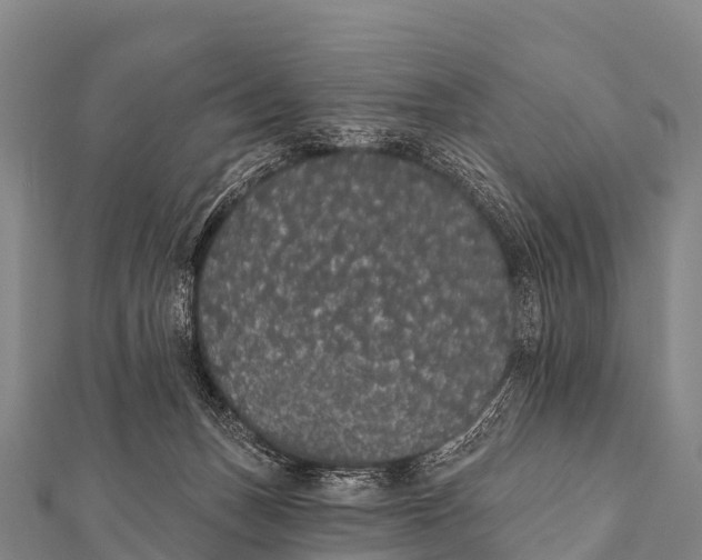 X0000112000175200908241441