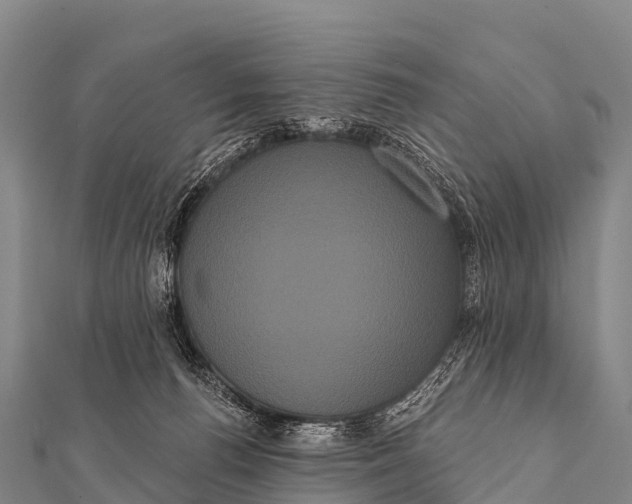 X0000112000176200908241441