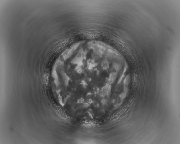 X0000112000177200908241441