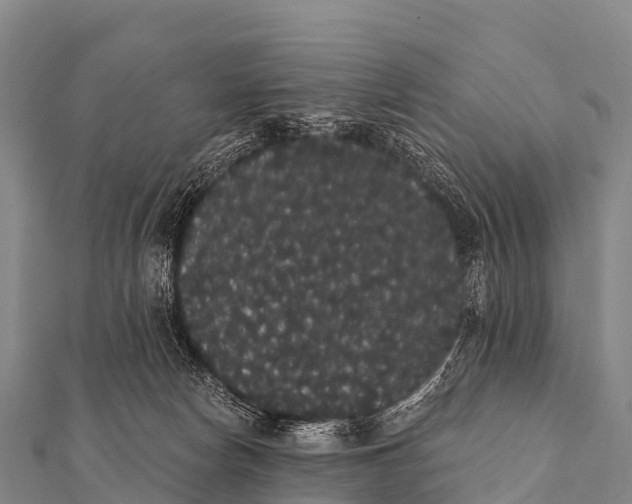 X0000112000178200908241441