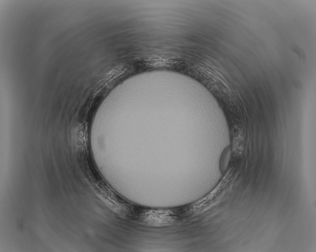 X0000112000179200908241441