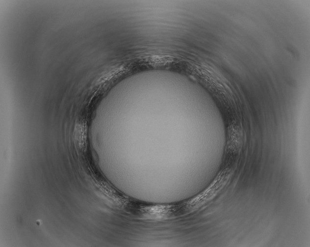 X0000112000184200908241441