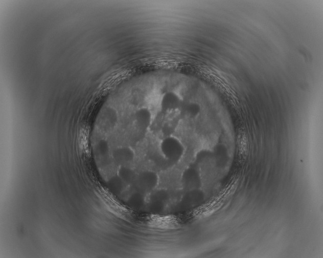 X0000112000185200908241441