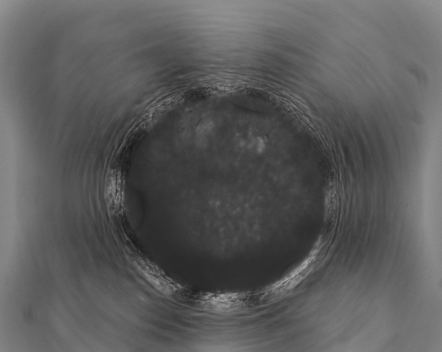 X0000112000186200908241441