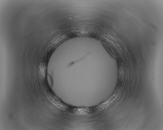 X0000112000188200908241441