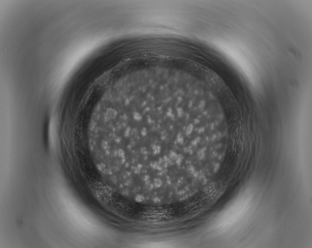 X0000112000189200908241441