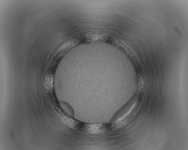 X0000112000191200908241441