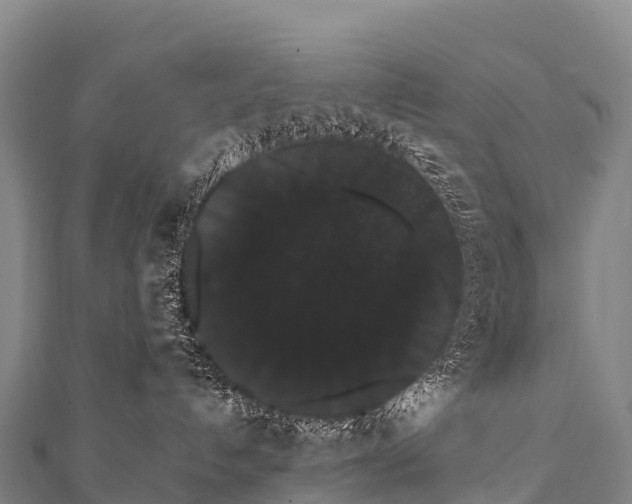 X0000112000192200908241441