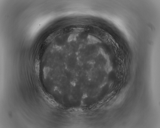 X0000112000194200908241440