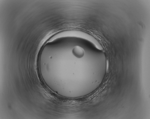 X0000112000195200908241440