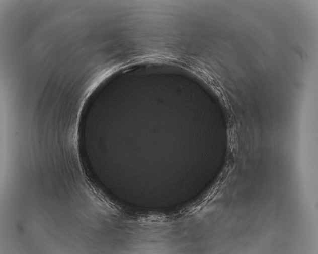 X0000112000196200908241440