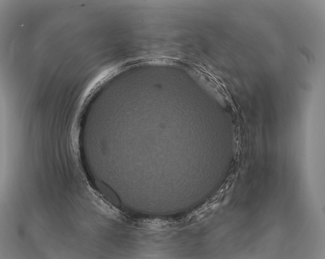 X0000112000197200908241440