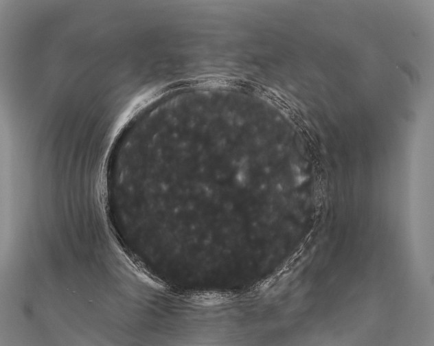 X0000112000198200908241440