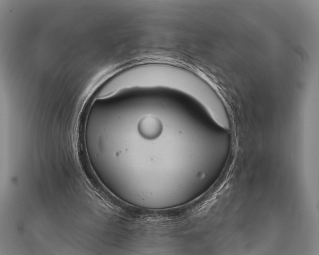 X0000112000199200908241440