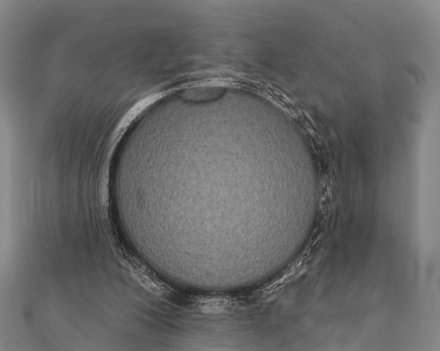 X0000112000200200908241440