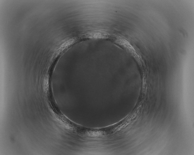 X0000112000202200908241440