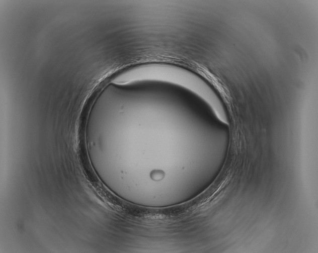 X0000112000203200908241440