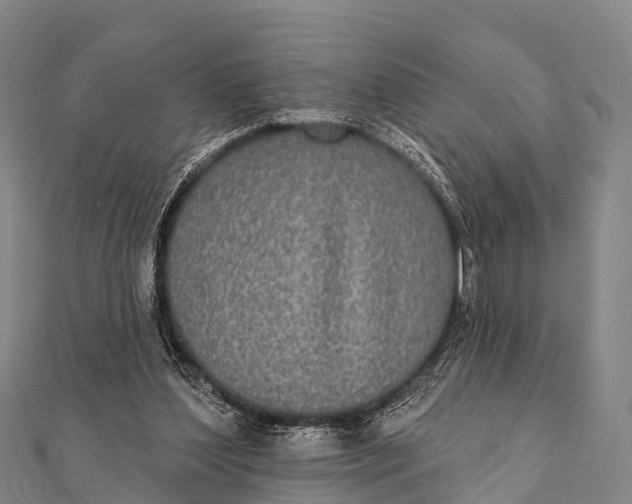 X0000112000204200908241440