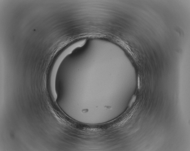 X0000112000205200908241440