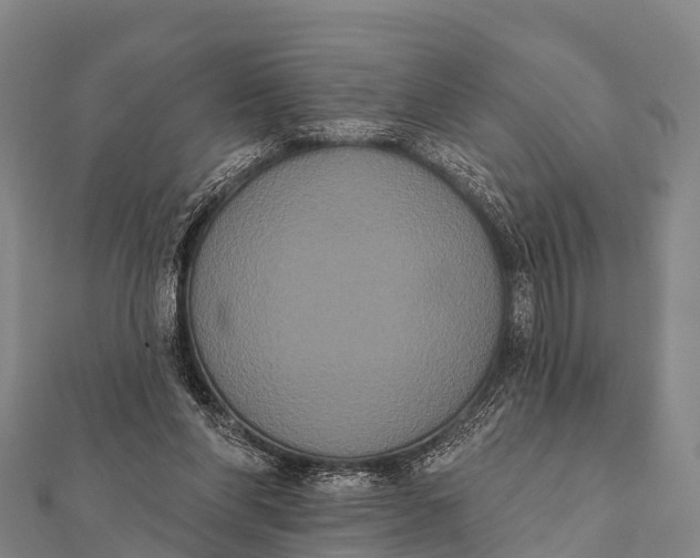 X0000112000206200908241440