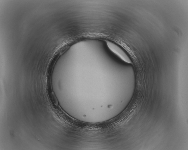 X0000112000207200908241440