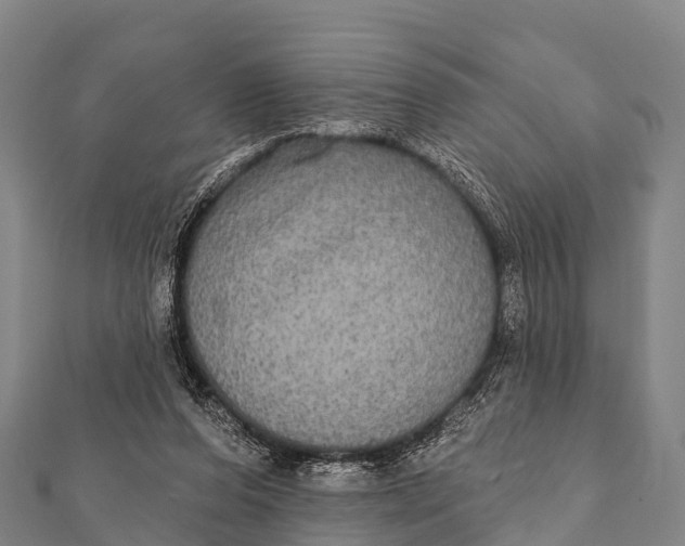 X0000112000208200908241440