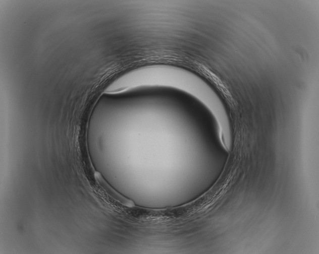 X0000112000209200908241440