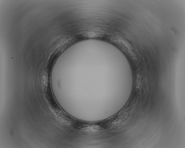 X0000112000210200908241440