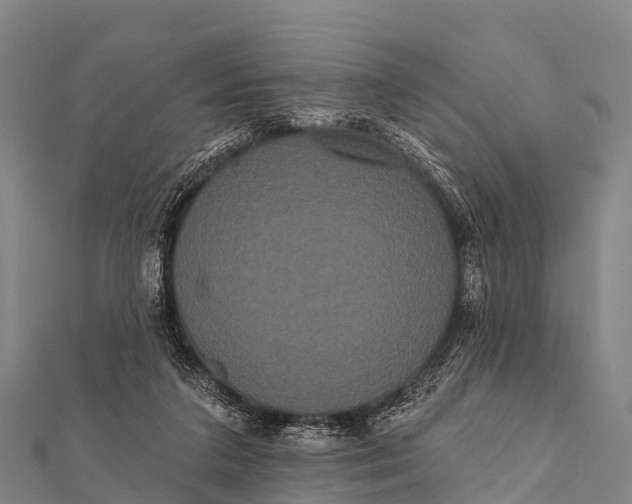 X0000112000211200908241440