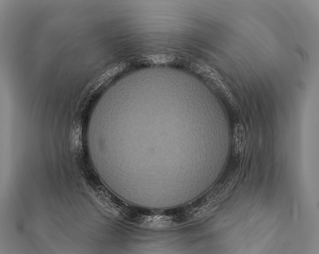 X0000112000212200908241440