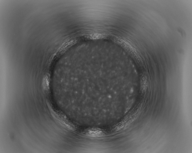 X0000112000214200908241440