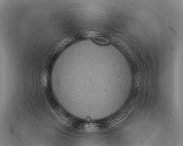 X0000112000216200908241440