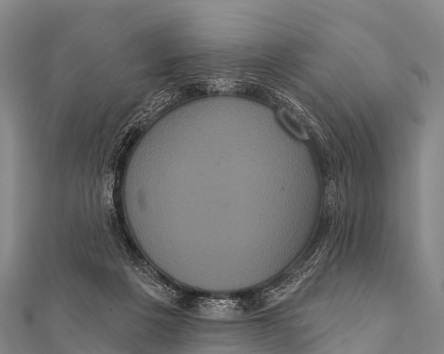 X0000112000217200908241440