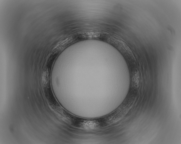 X0000112000218200908241440