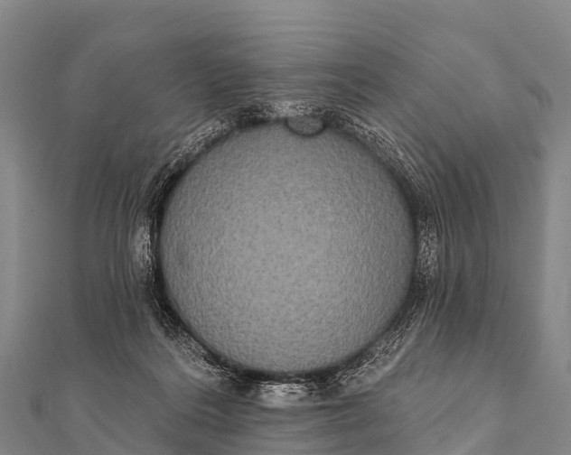 X0000112000220200908241440