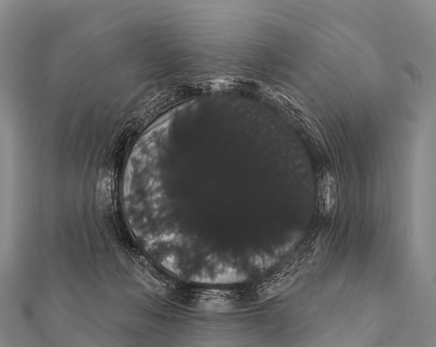 X0000112000222200908241440