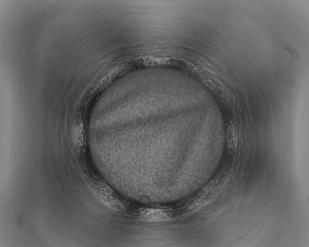 X0000112000224200908241440