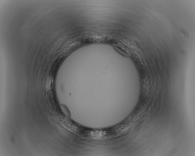 X0000112000225200908241440