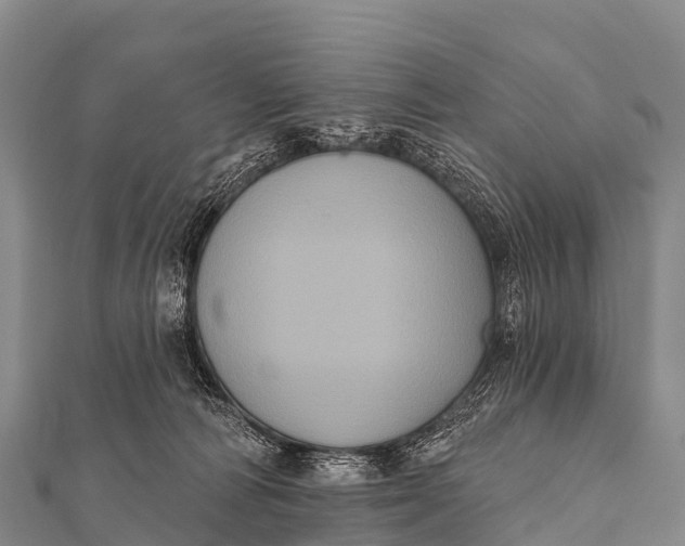 X0000112000226200908241440