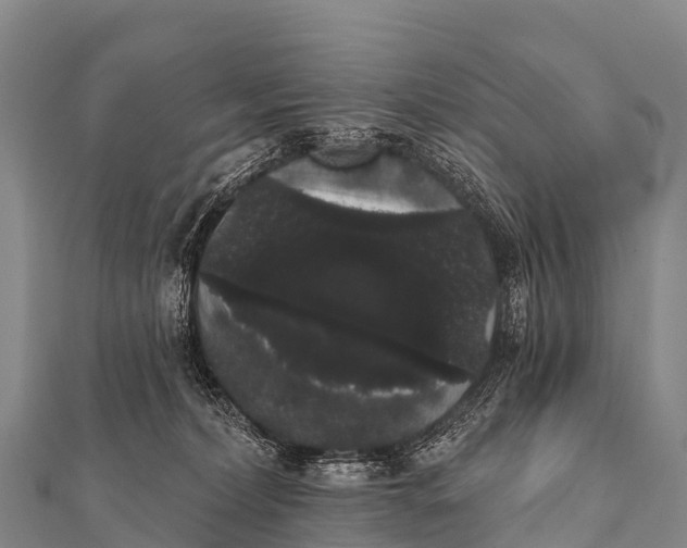 X0000112000228200908241440