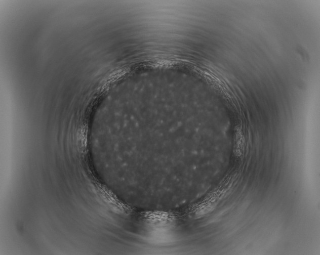 X0000112000230200908241440